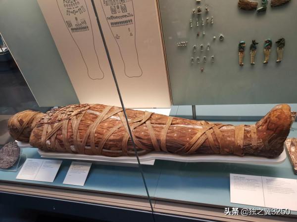 路人視角的大英博物館之木乃伊篇