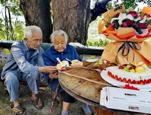 每頓飯七分飽多活28%？科學家發現：斷食2天或重啟免疫系統？