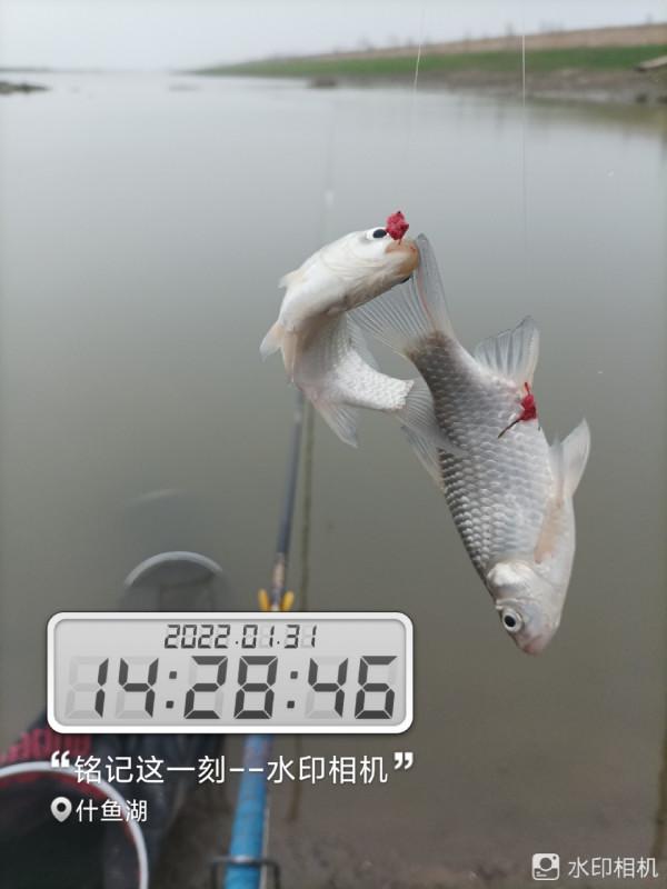 新年新氣象，虎年首釣完美爆護