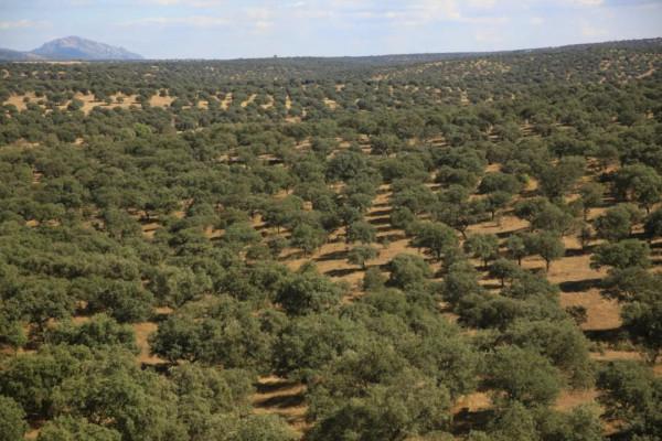 10年深度+豪華遊玩60國