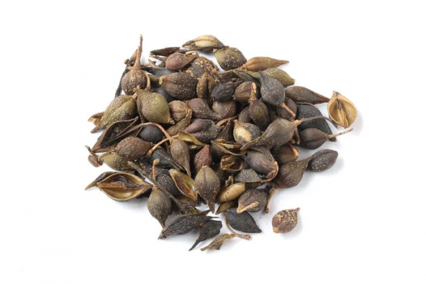 有種藥專治吃飽了撐著,詳解保和丸 有種藥專治吃飽了撐著,詳解保和丸