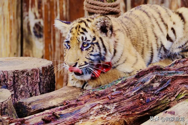 這個冬天，我們一起畢業