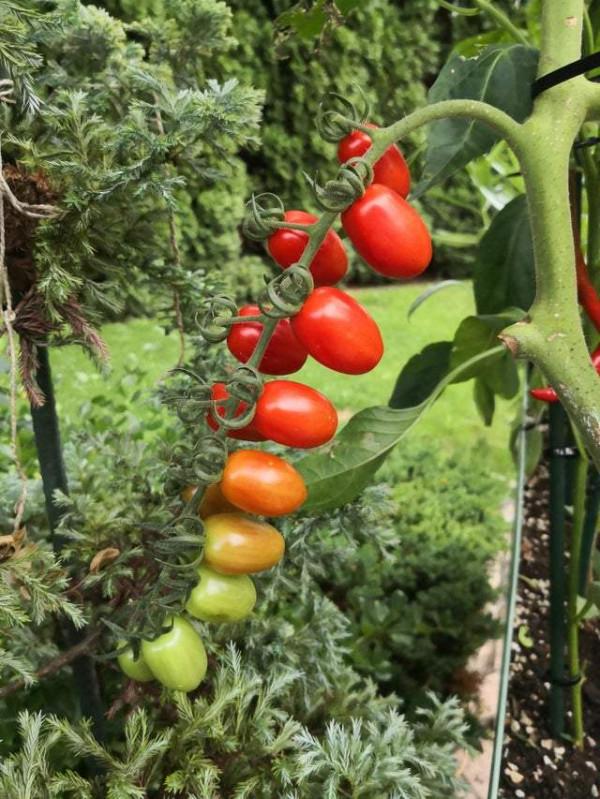 35張活久未見的照片，車走了冰還在原地，袋鼠打架像在鬥舞