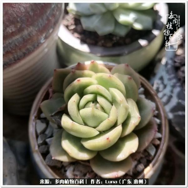 學會和解:與自己、與他人、與世界 學會和解:與自己、與他人、與世界