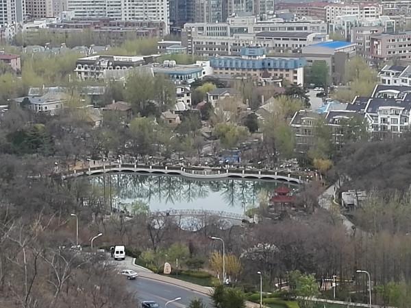 我常去遛彎的植物園 我常去遛彎的植物園