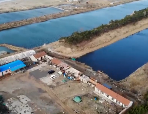 山東破爛王改行賣海參,一年銷售額8000多萬,帶動50戶養殖戶致富 山東破爛王改行賣海參,一年銷售額8000多萬,帶動50戶養殖戶致富