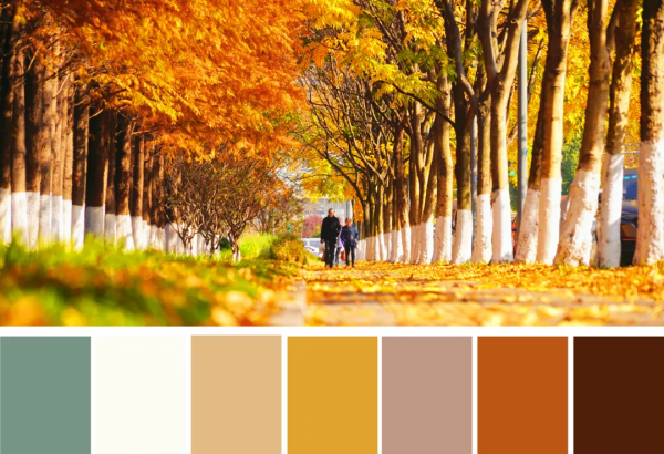 嗨，想和你一起看鹿城冬日限定美景