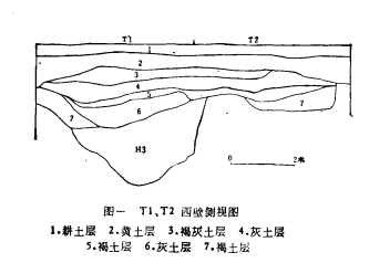 陝西長安縣灃西新旺村西周制骨作坊遺址 陝西長安縣灃西新旺村西周制骨作坊遺址