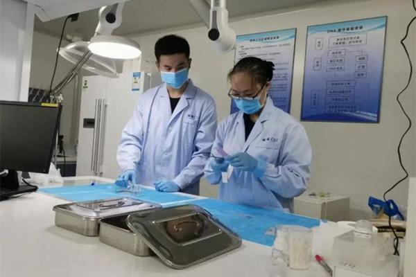 致命的包辦婚姻：男子為情人殘殺新婚妻子，蛇皮袋成破案關鍵