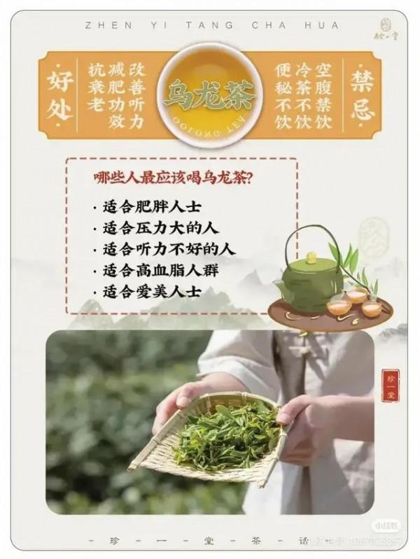 最全的喝茶攻略