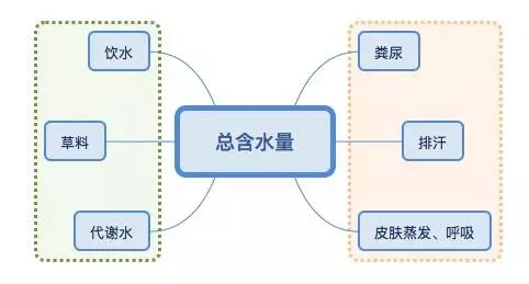 馬衣品牌荷斯威爾horseware馬術課堂：冬天，馬需要喝更多水