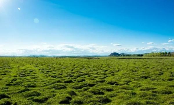 中國最美的9大草原，一輛車，三五好友，就可以馳騁在草原上