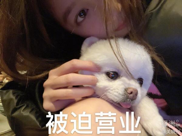 小胖兒被迫營業，和關曉彤一起陪大家共度小年夜