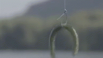 五花八門的軟蟲釣組，你知道高手們都是怎麼用的嗎？