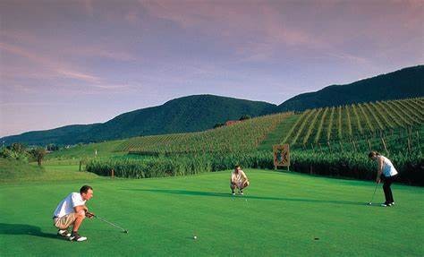 奧運賽場上,哪種球速度最快? 奧運賽場上,哪種球速度最快?