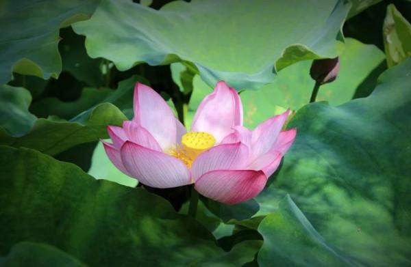 做人，要立德、立功、立言