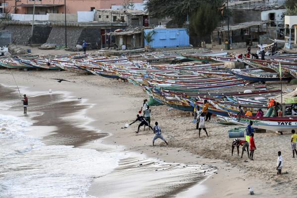 2022非洲杯球隊實力概覽：西非雄獅——塞內加爾
