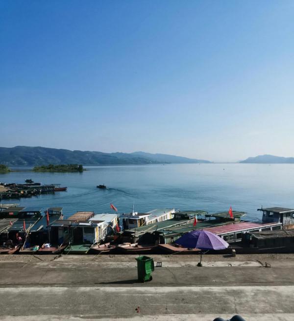 廣東怎麼釣土鯪，鯪魚配方，釣法，都在這裡