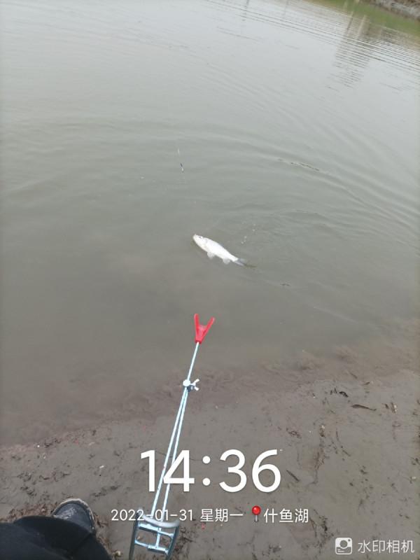 新年新氣象，虎年首釣完美爆護