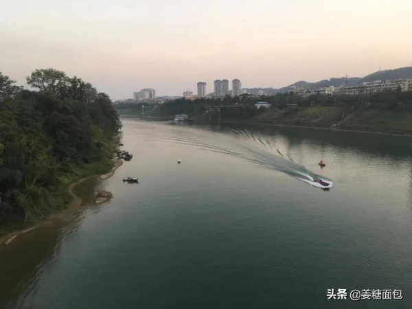 原創漫畫：我和“領導”的日常42