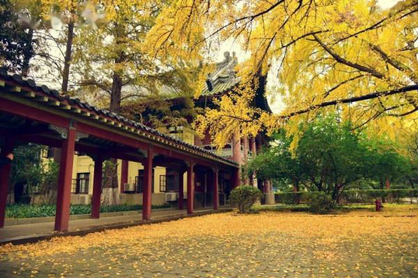 一入秋，南京就成了金陵