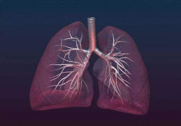 遨遊海洋不是夢,科學研究讓人類初步具備液體呼吸技能 遨遊海洋不是夢,科學研究讓人類初步具備液體呼吸技能