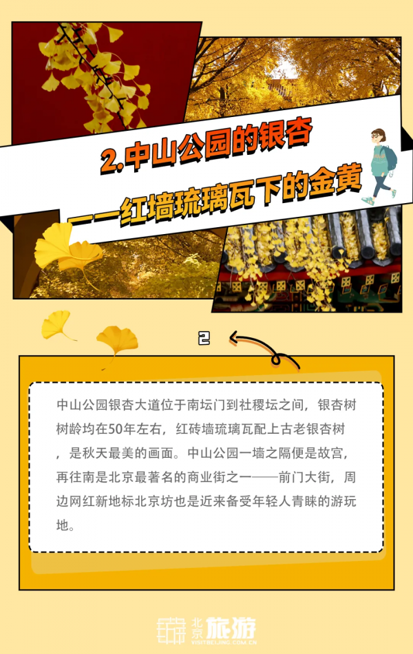 官宣！2021北京賞秋指南！14條路線帶你夢迴北平！