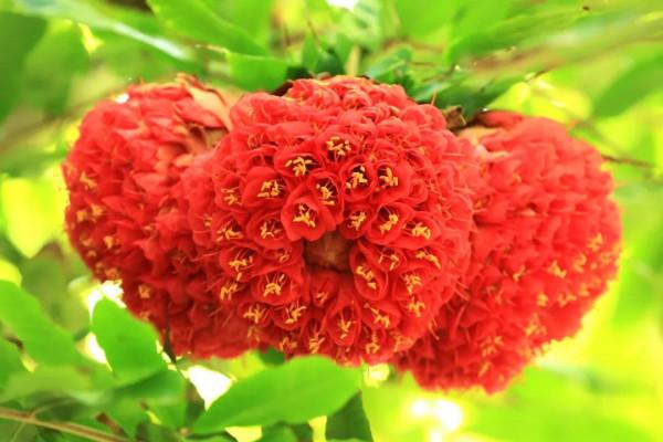 10年深度+豪華遊玩60國