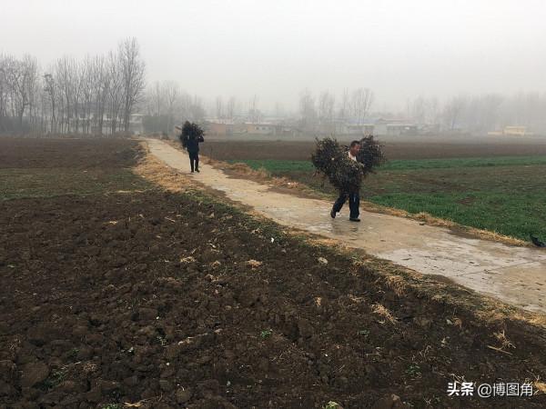 不虛此行:到了泌陽馬谷田撿不到隕石,就去下河灣冶鐵遺址看看吧 不虛此行:到了泌陽馬谷田撿不到隕石,就去下河灣冶鐵遺址看看吧