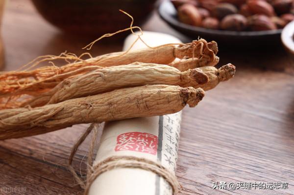 既上火，又怕冷？一劑黃連湯，清上溫下，改善你的上熱下寒