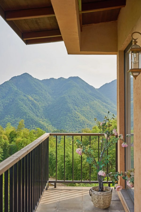 700年神秘古村落意外走紅！霧海竹林萬畝，24h鮮氧環繞，宛若仙境