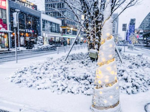 2022東京初雪,這個近45年來最冷的冬天,美翻了 2022東京初雪,這個近45年來最冷的冬天,美翻了