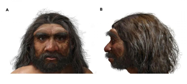 發現新人種?!人類祖先喜提新成員 發現新人種?!人類祖先喜提新成員