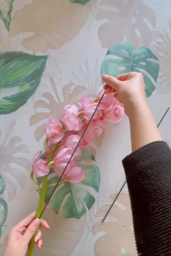 有一種不屈的堅韌。當之無愧的大家閨秀——大花蕙蘭 有一種不屈的堅韌。當之無愧的大家閨秀——大花蕙蘭