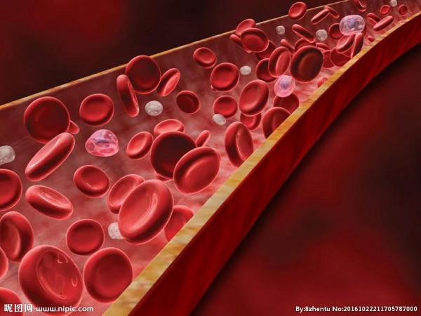 經常犯困,是得了不治之症嗎? 經常犯困,是得了不治之症嗎?