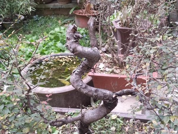 實體店經濟，維繫著資源分配的權重，更承載著經濟發展源泉