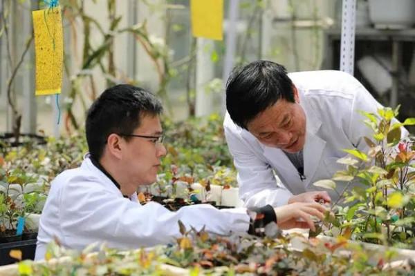 熱點 | 為找到最好吃的蘋果，科學家每天試吃上千個，還拿了國家級大獎