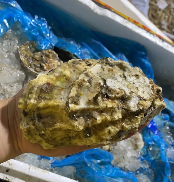 最近做夢都夢到吃海鮮，馬上跑到寧波吃個痛快