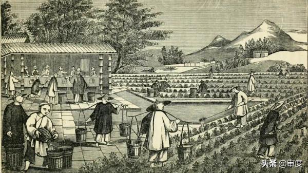 康乾盛世背後的險惡:區區“幾兩銀子”,就毀掉了近代中國的命運 康乾盛世背後的險惡:區區“幾兩銀子”,就毀掉了近代中國的命運