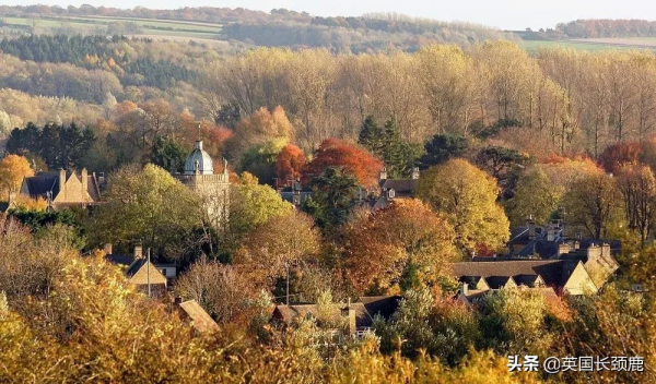 你還記得深秋英國的樣子嗎?若你還在,與你共享 你還記得深秋英國的樣子嗎?若你還在,與你共享