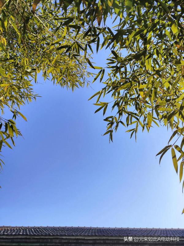 Realme GT 2手機拍照效果