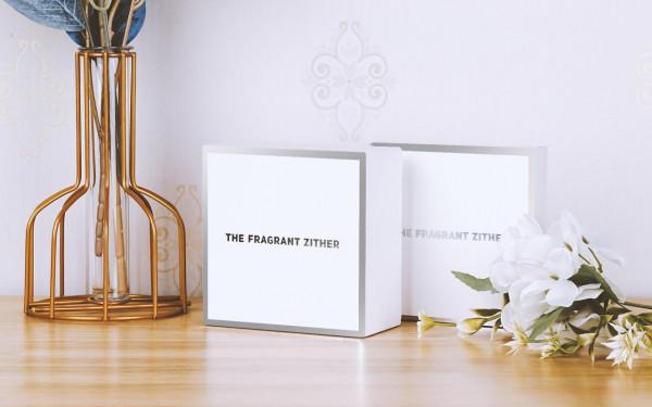 TFZ T2 Pro體驗:精緻配色,有線無線搭配,藝術與音樂的完美融合 TFZ T2 Pro體驗:精緻配色,有線無線搭配,藝術與音樂的完美融合