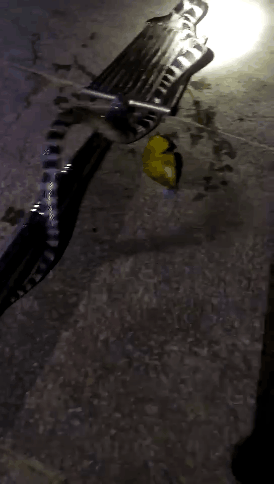 四川男子釣魚誤觸高壓電,意外身亡!為什麼總有人在高壓電下釣魚 四川男子釣魚誤觸高壓電,意外身亡!為什麼總有人在高壓電下釣魚