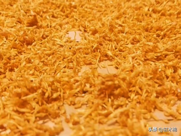 以下這些植物竟然是製作涼粉的原料?快來看看你認識多少種 以下這些植物竟然是製作涼粉的原料?快來看看你認識多少種