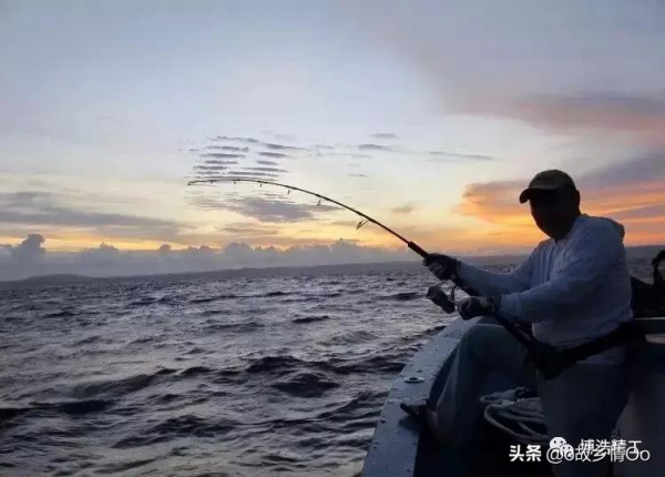 路亞新手如何挑選適合自己的輪子