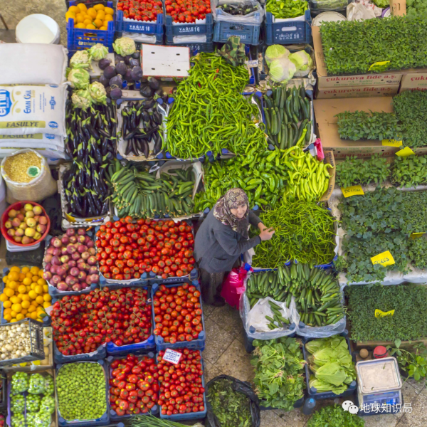 股市每天熔斷一次？土耳其現在“跌”媽不認