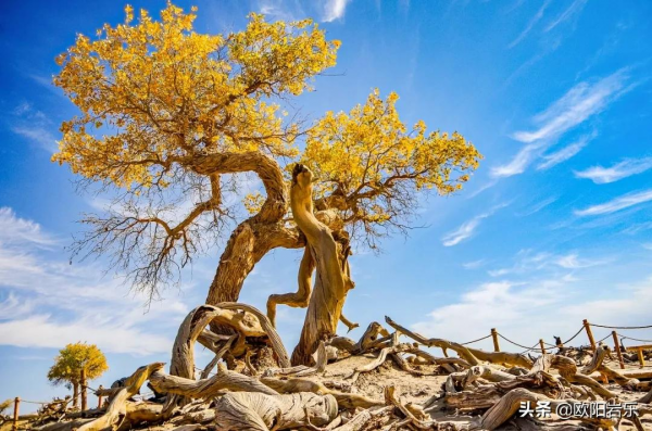 秋天的第一場旅行，你可以去這6個地方。一入秋，他們就變色了…