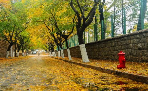 為什麼秋天一定要去旅行？就是這些理由