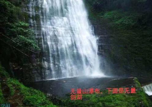 細說普洱茶 細說普洱茶