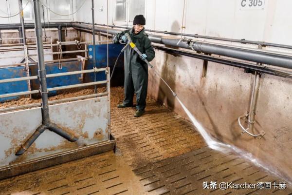 放心的豬肉,從正確的圈舍清潔程式開啟 放心的豬肉,從正確的圈舍清潔程式開啟